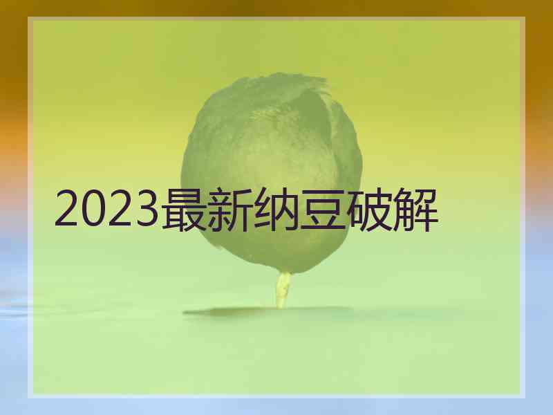 2023最新纳豆破解
