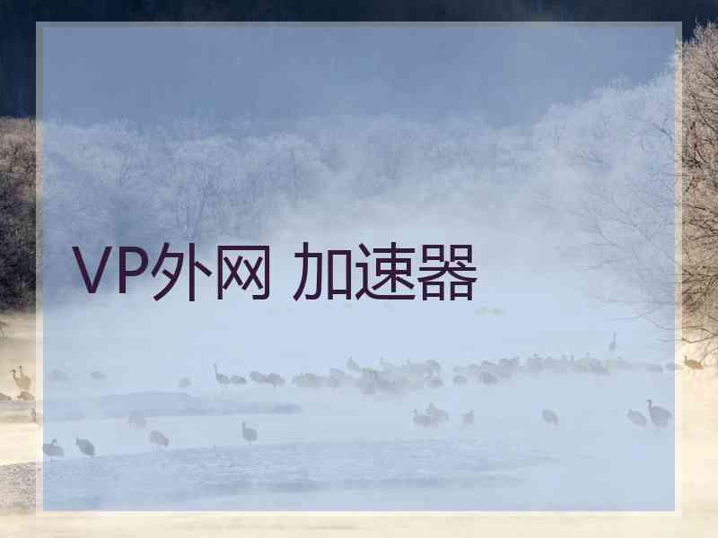 VP外网 加速器