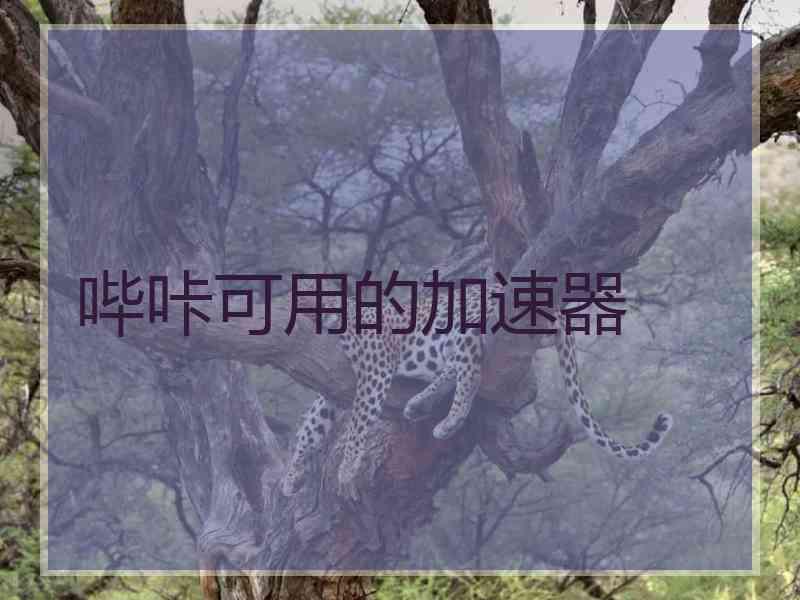哔咔可用的加速器