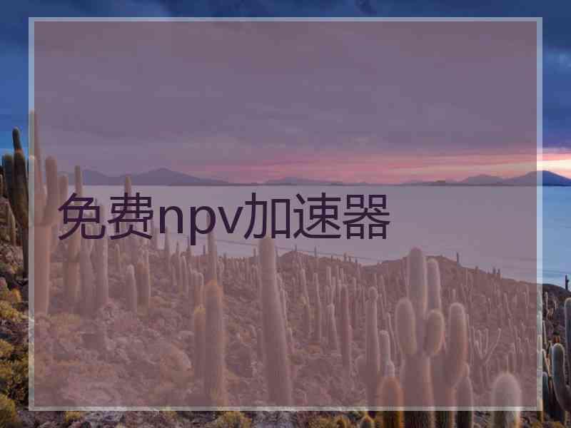 免费npv加速器