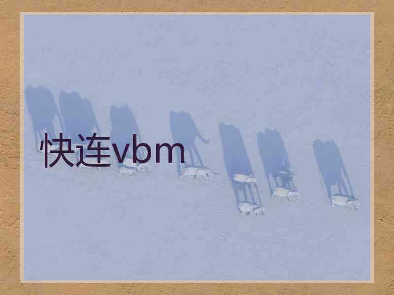 快连vbm