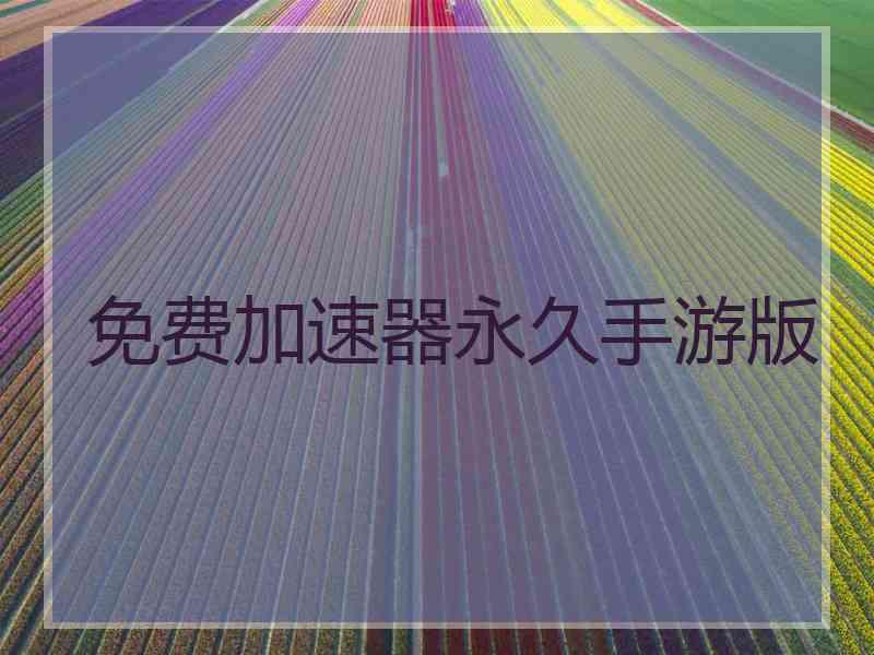 免费加速器永久手游版