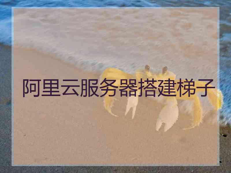 阿里云服务器搭建梯子