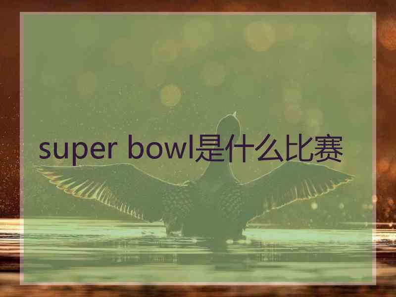 super bowl是什么比赛