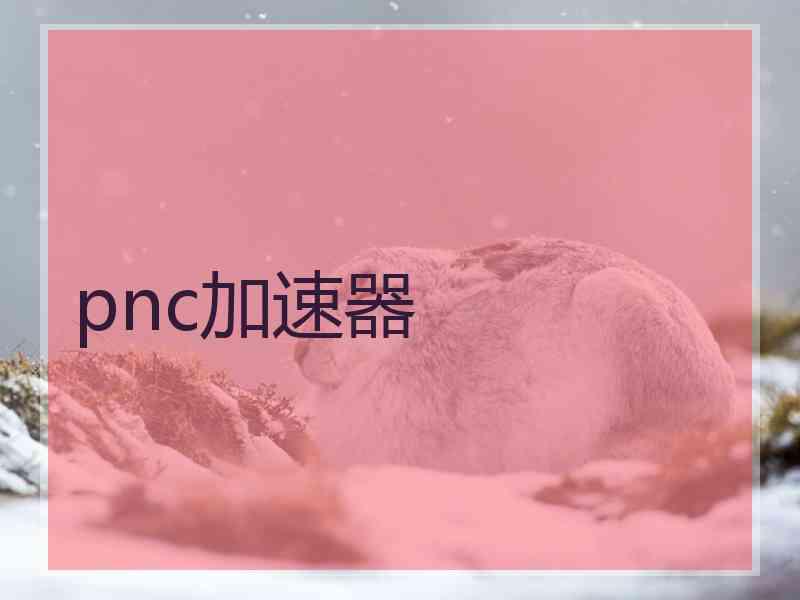 pnc加速器