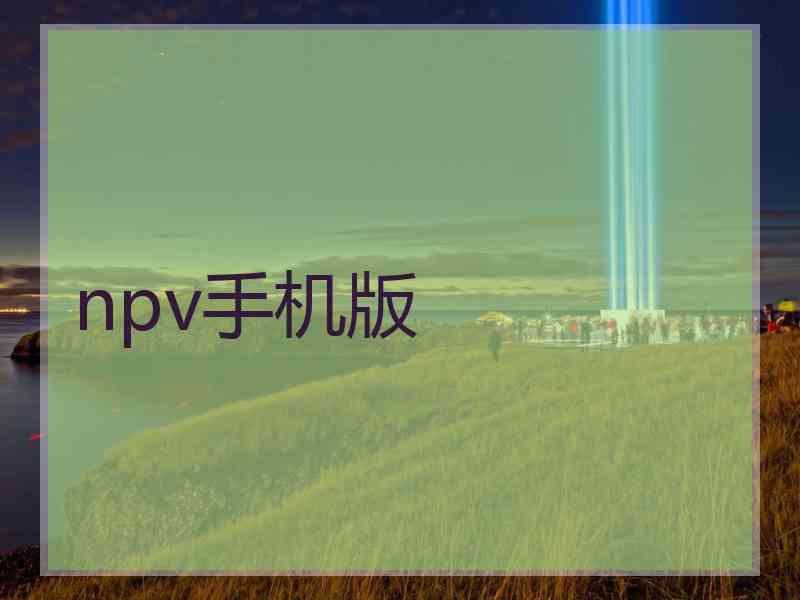 npv手机版