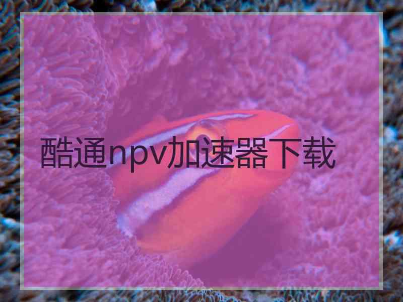 酷通npv加速器下载