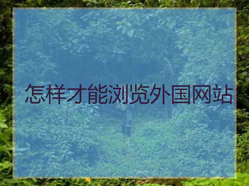 怎样才能浏览外国网站