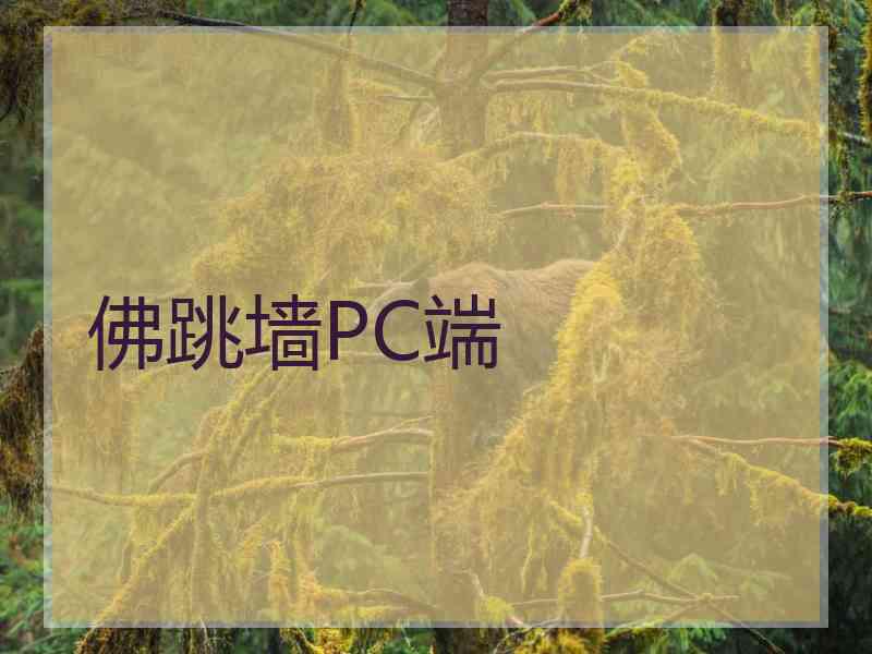 佛跳墙PC端