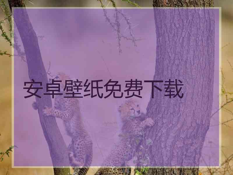 安卓壁纸免费下载