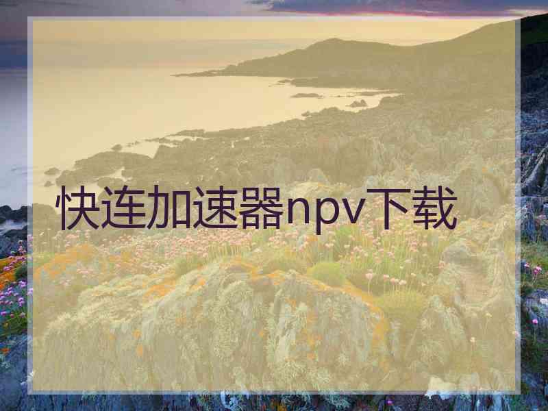 快连加速器npv下载