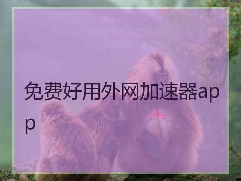免费好用外网加速器app