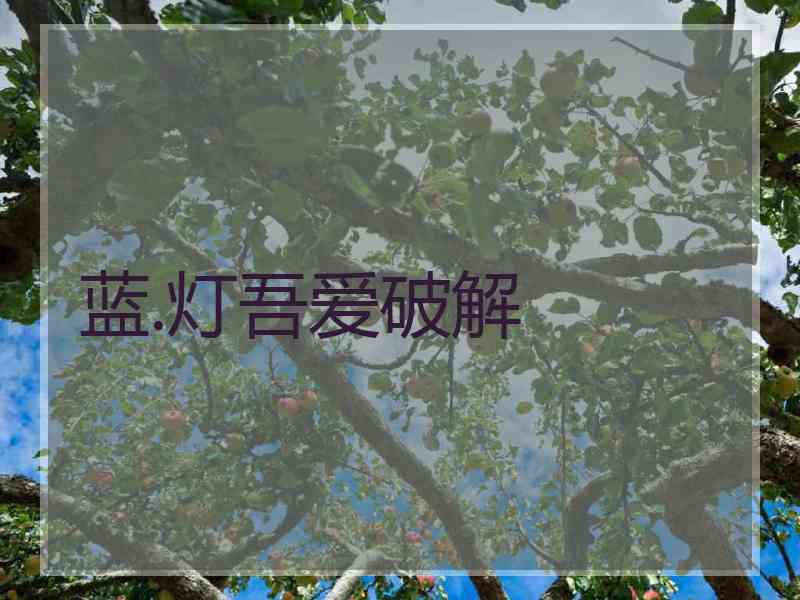 蓝.灯吾爱破解