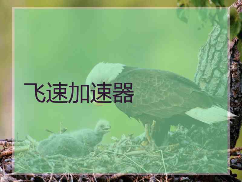 飞速加速器