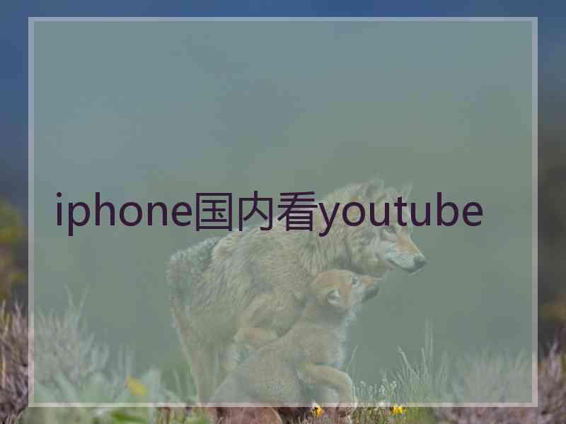 iphone国内看youtube