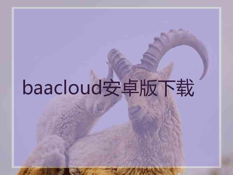 baacloud安卓版下载