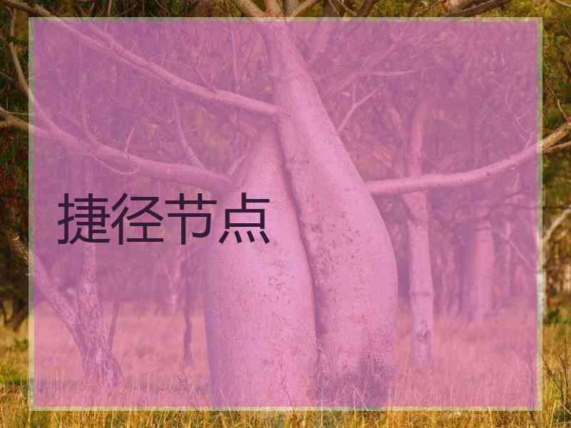 捷径节点