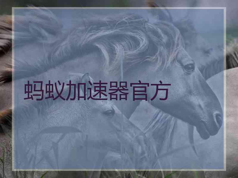 蚂蚁加速器官方