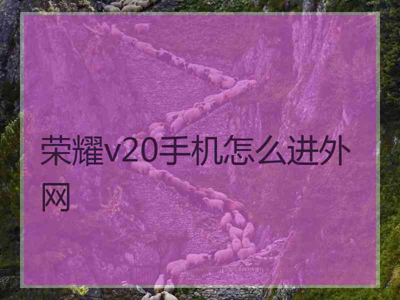 荣耀v20手机怎么进外网