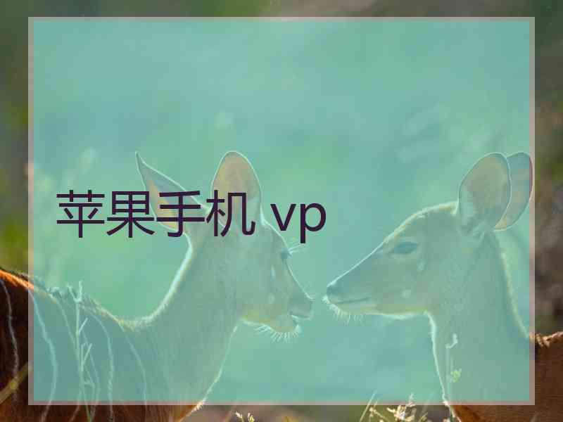 苹果手机 vp