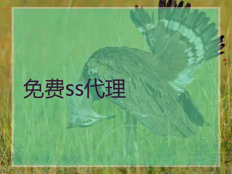 免费ss代理