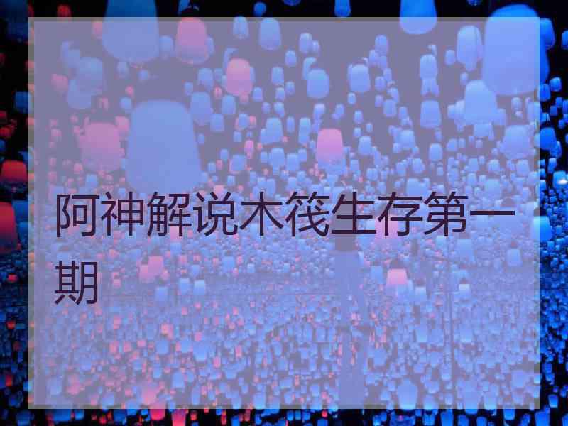 阿神解说木筏生存第一期