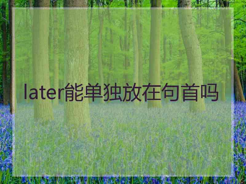 later能单独放在句首吗