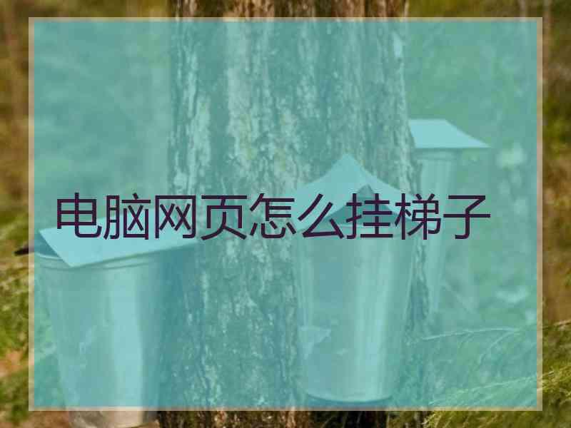 电脑网页怎么挂梯子