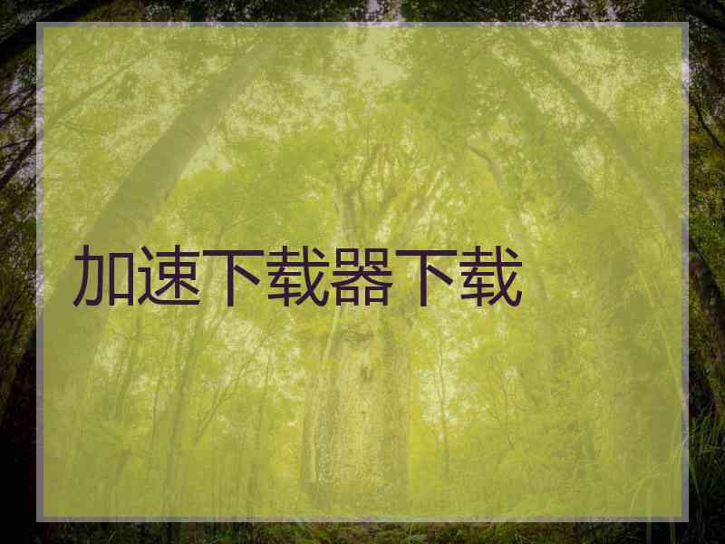 加速下载器下载