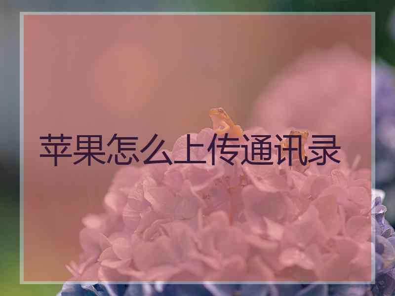 苹果怎么上传通讯录