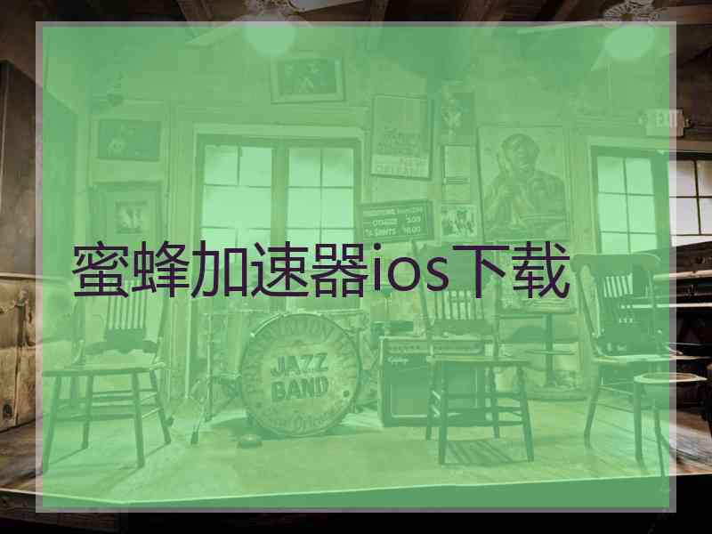 蜜蜂加速器ios下载