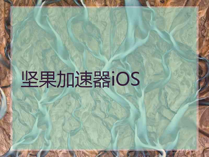 坚果加速器iOS