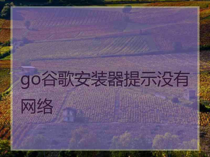 go谷歌安装器提示没有网络