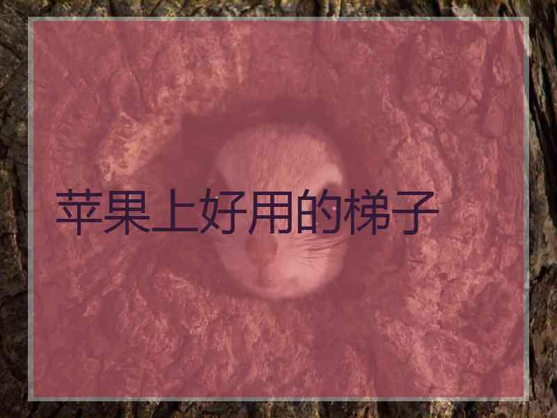 苹果上好用的梯子