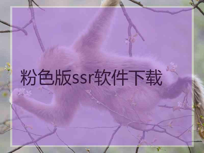 粉色版ssr软件下载