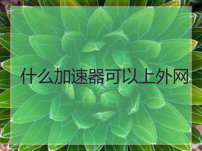什么加速器可以上外网