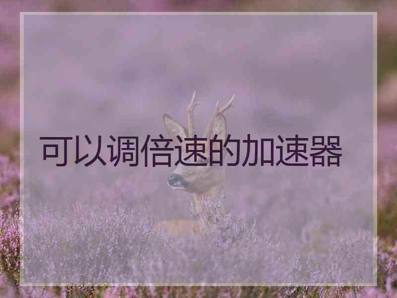 可以调倍速的加速器