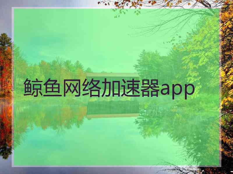 鲸鱼网络加速器app