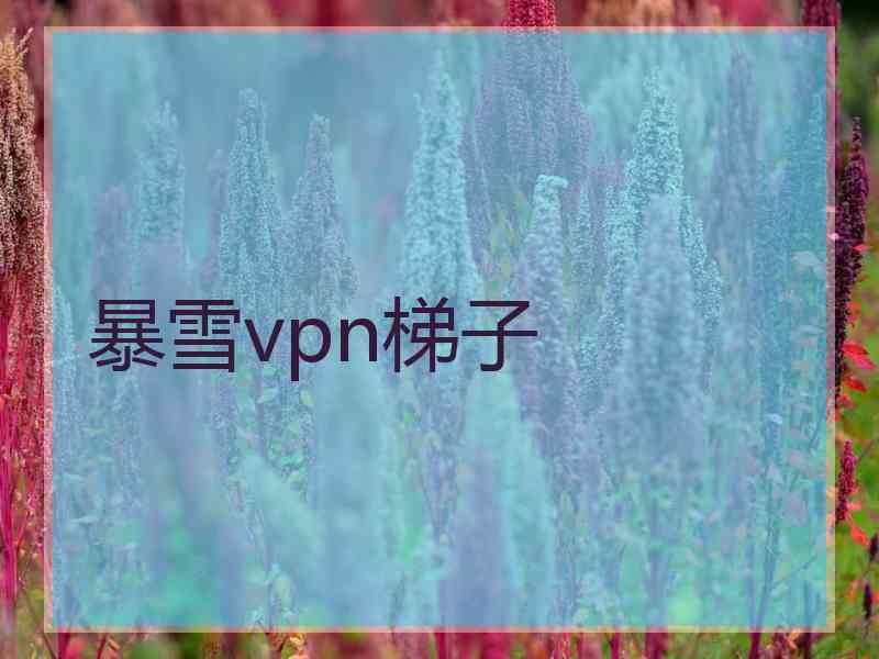 暴雪vpn梯子