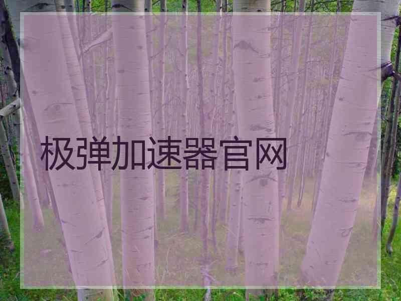 极弹加速器官网