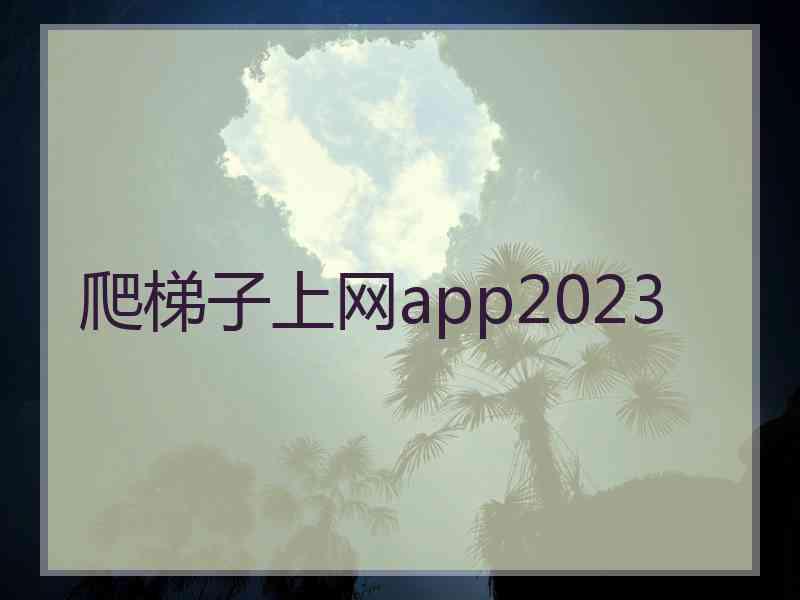 爬梯子上网app2023