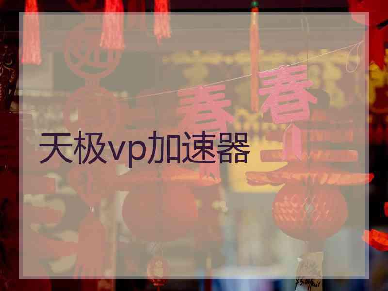 天极vp加速器