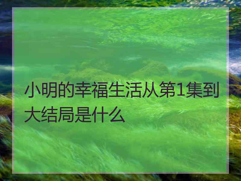 小明的幸福生活从第1集到大结局是什么