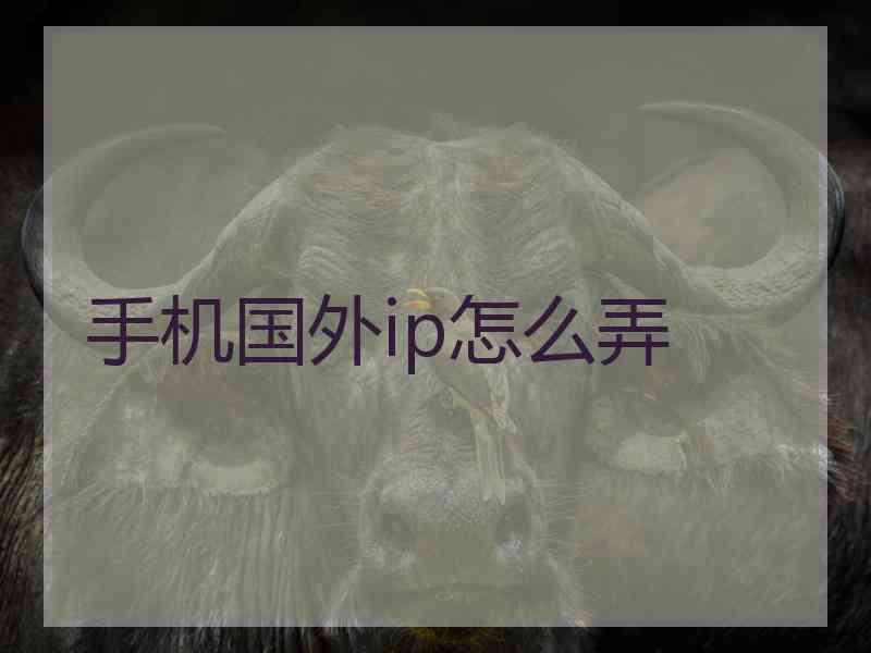手机国外ip怎么弄