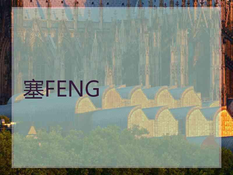 塞FENG