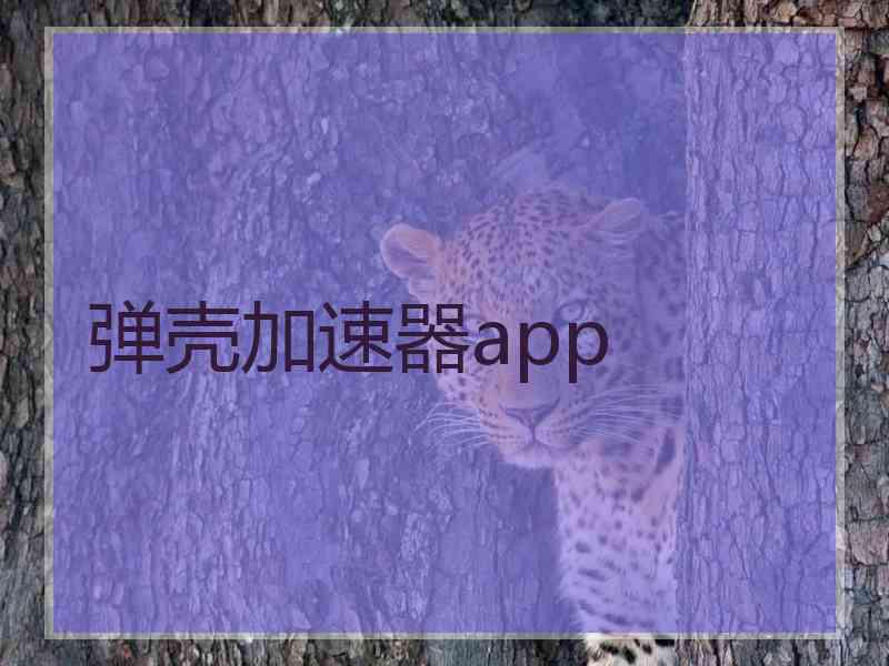 弹壳加速器app