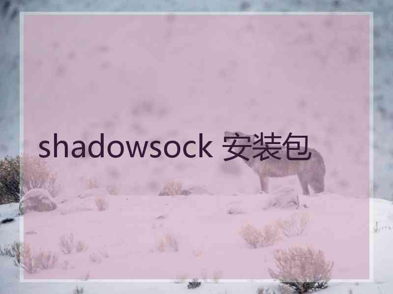 shadowsock 安装包