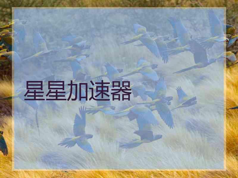 星星加速器