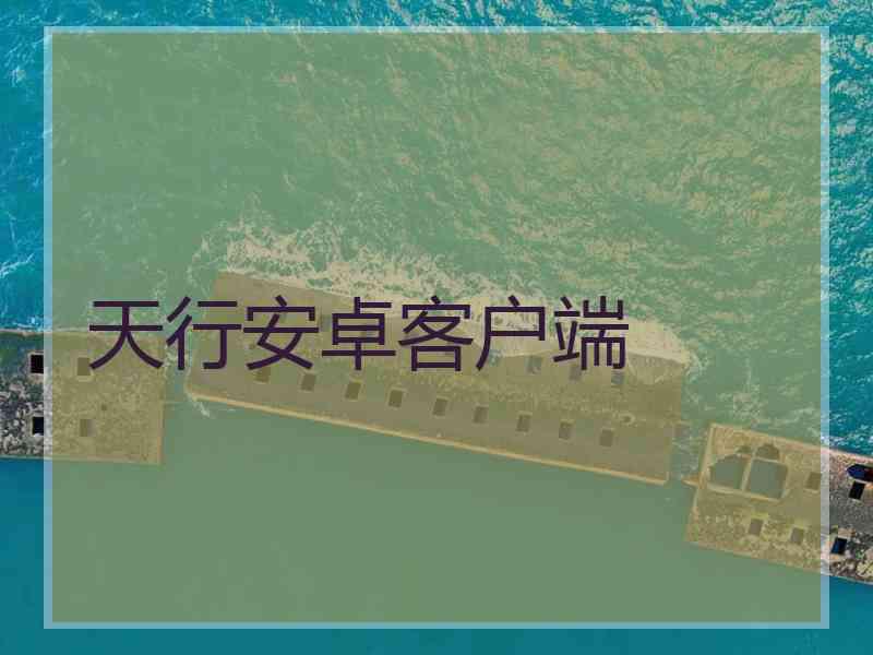 天行安卓客户端