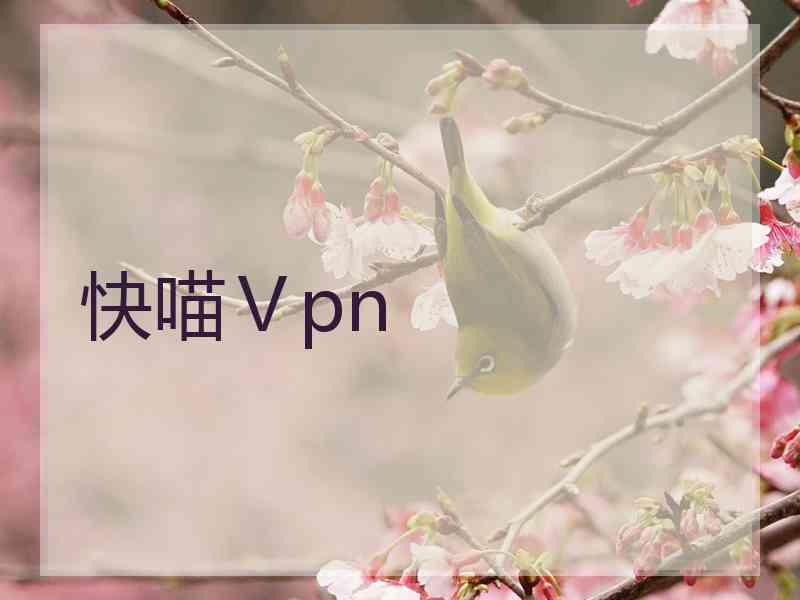 快喵Ⅴpn